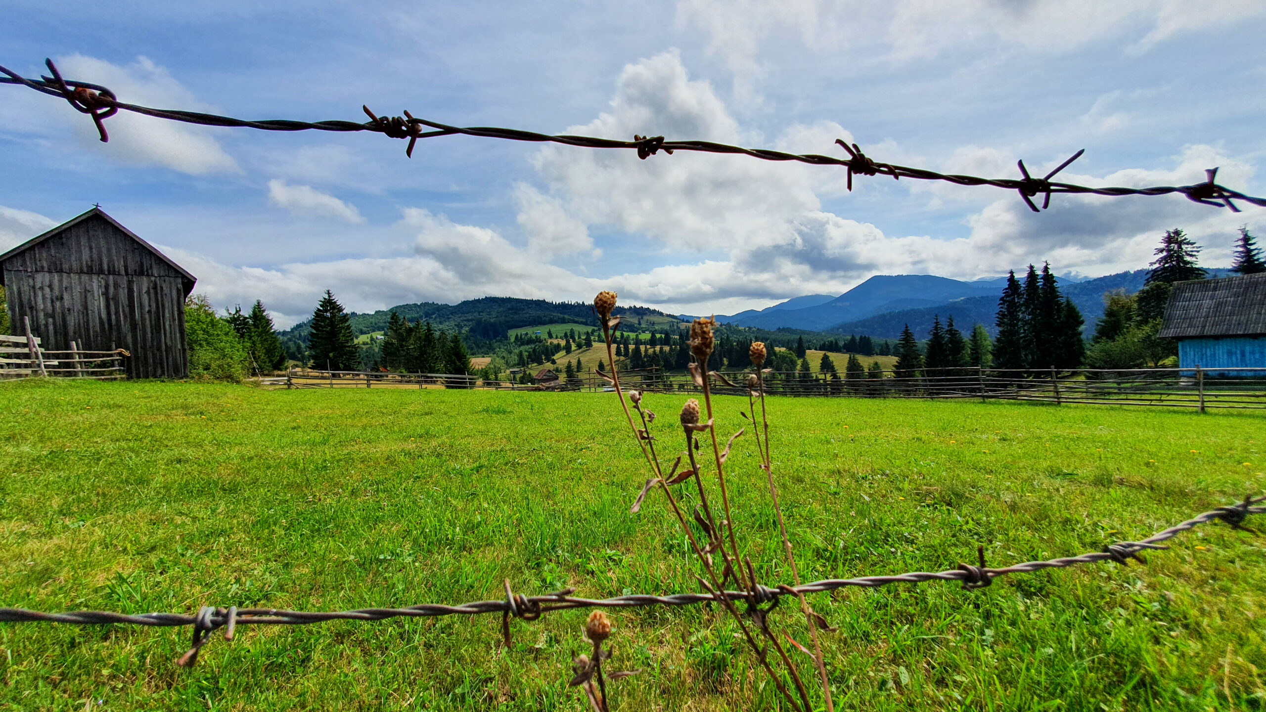 things to do in bucovina